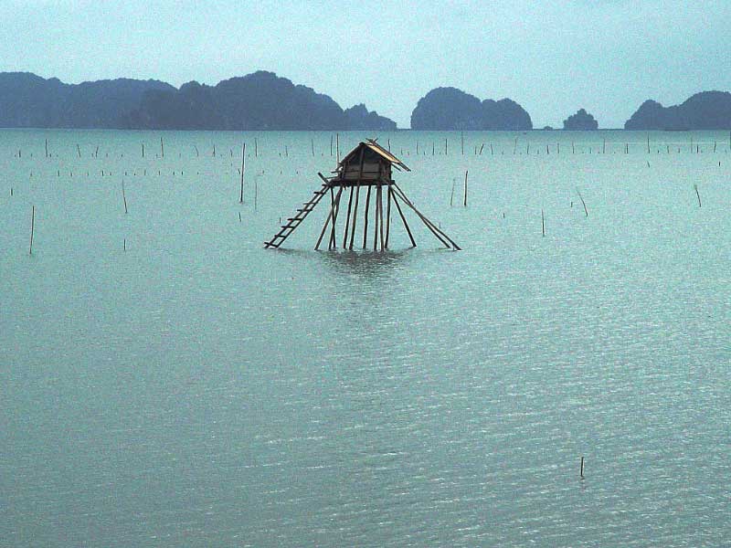 Vietnam  Ha Long Bay Ha Long Bay Nordeste -  - Vietnam