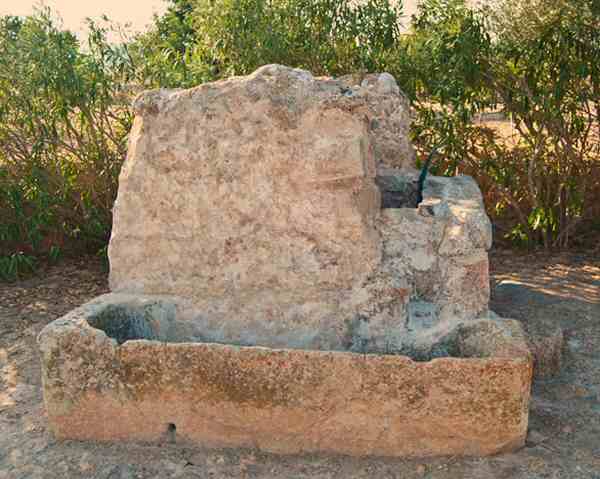 España Sant Josep de Sa Talaia Pou Roig Pou Roig Ibiza - Sant Josep de Sa Talaia - España