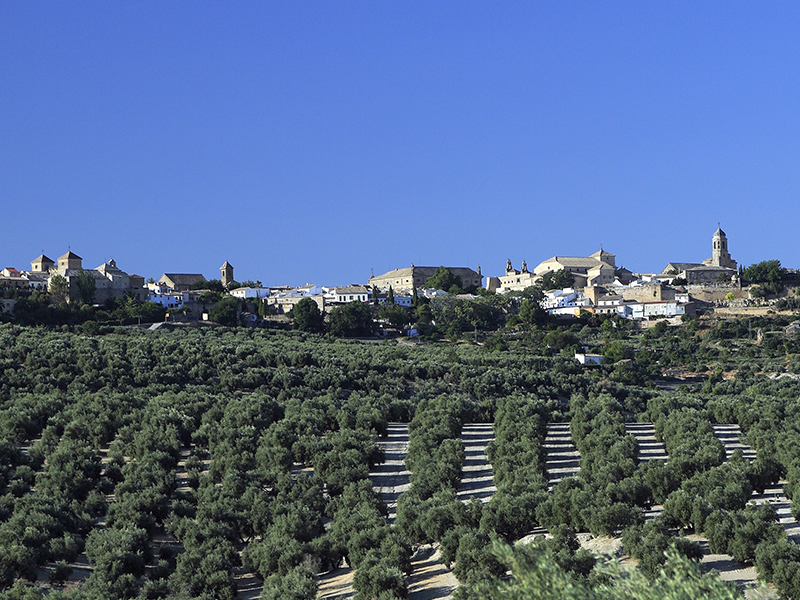 España  Úbeda Úbeda Jaén -  - España