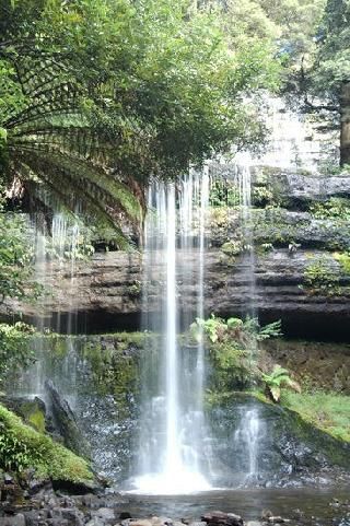 Australia Kuranda Atherton Tableland Atherton Tableland Queensland - Kuranda - Australia