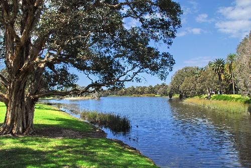 Australia Sidney Centennial Park Centennial Park Sidney - Sidney - Australia
