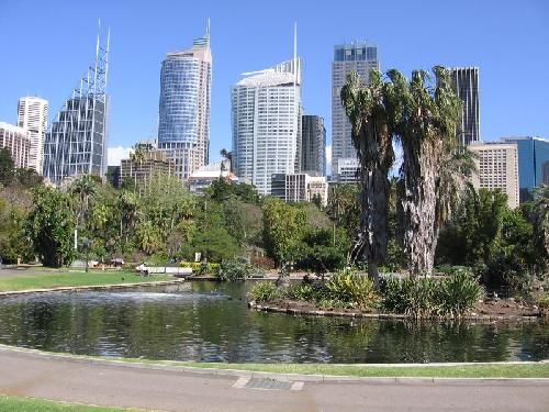 Australia Sidney Jardines Botánicos Reales Jardines Botánicos Reales Sidney - Sidney - Australia