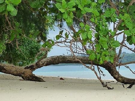 Milne Bay 