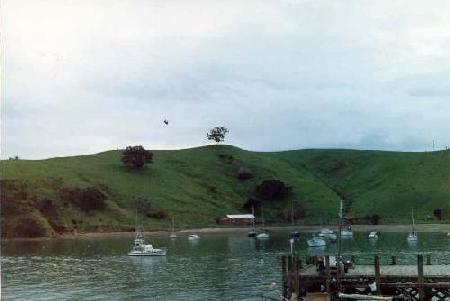 Auckland 