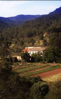 Las mejores ofertas de Casa Río Mijares Buñol