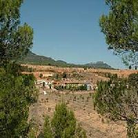 Las mejores ofertas de Finca El Rebolloso Ayora