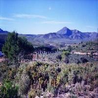 Las mejores ofertas de Hostel Masia El Olivar Dos Aguas