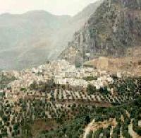 Las mejores ofertas de Catí Catí