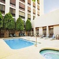 Las mejores ofertas de Lexington Phoenix 