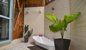 Las mejores ofertas de MAGIC REEF BUNGALOWS RAROTONGA ISLAND