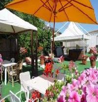 Las mejores ofertas de Coralba Ischia