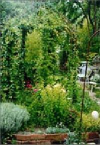 Las mejores ofertas de Casa Lucía Mogarraz