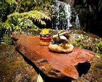 Las mejores ofertas de TREETOPS LODGE & ESTATE Rotorua