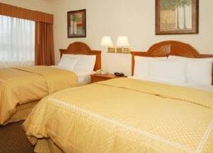 Comfort Suites Near Galleria