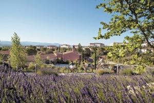 Las mejores ofertas de CASA GROSPIERRES Grospierres