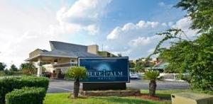 Blue Palm