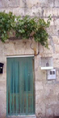 Las mejores ofertas de César Arnáiz Hontanas