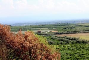 Las mejores ofertas de CASA LIMBADI Limbadi