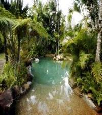 Las mejores ofertas de Ferntree Hostel Cairns