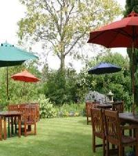 Las mejores ofertas de Falcon Northampton 