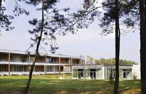 Mascotte Les Sitelles Le Mans