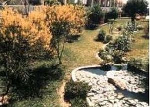 UNIVERSAL HOTEL DON LEON