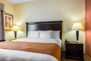 Las mejores ofertas de COMFORT SUITES CULLMAN Cullman