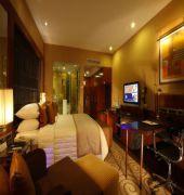 Las mejores ofertas de RADISSON BLU PLAZA DELHI AIRPORT Delhi