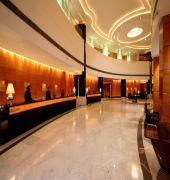 RADISSON BLU PLAZA DELHI AIRPORT