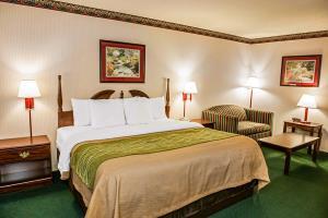 Las mejores ofertas de COMFORT INN Harrisburg 