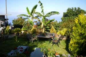 Las mejores ofertas de Inés Tijarafe