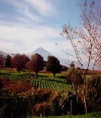 Las mejores ofertas de El Adelantado Tacoronte 