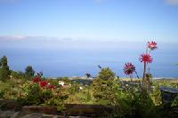 Las mejores ofertas de Emilia Tijarafe