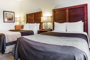 Las mejores ofertas de COMFORT INN & SUITES Camden 