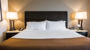 Las mejores ofertas de HOLIDAY INN CHARLESTON HISTORIC DOWNTOWN Charleston 