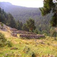 Las mejores ofertas de Casa El Quemao Villoslada De Cameros