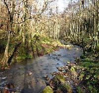 Las mejores ofertas de Mendiola Irun 