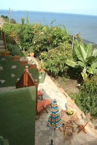 Las mejores ofertas de El Silbo ( Ii) y (Iii) Hermigua 