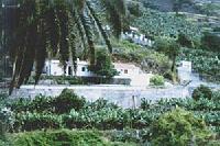 Las mejores ofertas de La Sabina Hermigua 