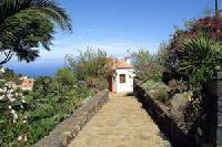 Las mejores ofertas de Machín Puntagorda