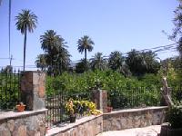 Las mejores ofertas de Rosiana Santa Lucía