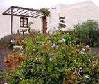 Las mejores ofertas de Fimbapaire( A) La Oliva 