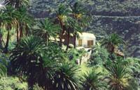 Las mejores ofertas de Pajaritos Hermigua 