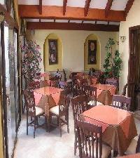 Las mejores ofertas de Athena Kokkarion