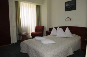 Las mejores ofertas de Silva Busteni Sinaia