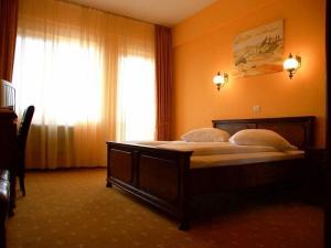 Las mejores ofertas de Hotel Coandi Arad 