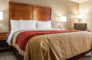 Las mejores ofertas de COMFORT INN Dickinson