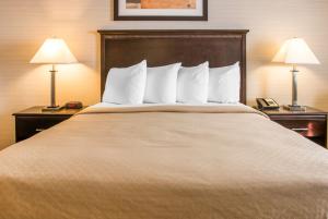 Las mejores ofertas de QUALITY INN & SUITES NEXT TO THE CASINO Battle Creek 