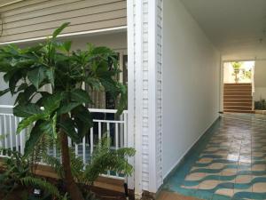 Las mejores ofertas de Blue Cove San Andrés 