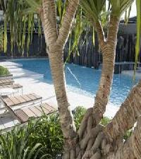 Las mejores ofertas de Circle on Cavill Surfers Paradise